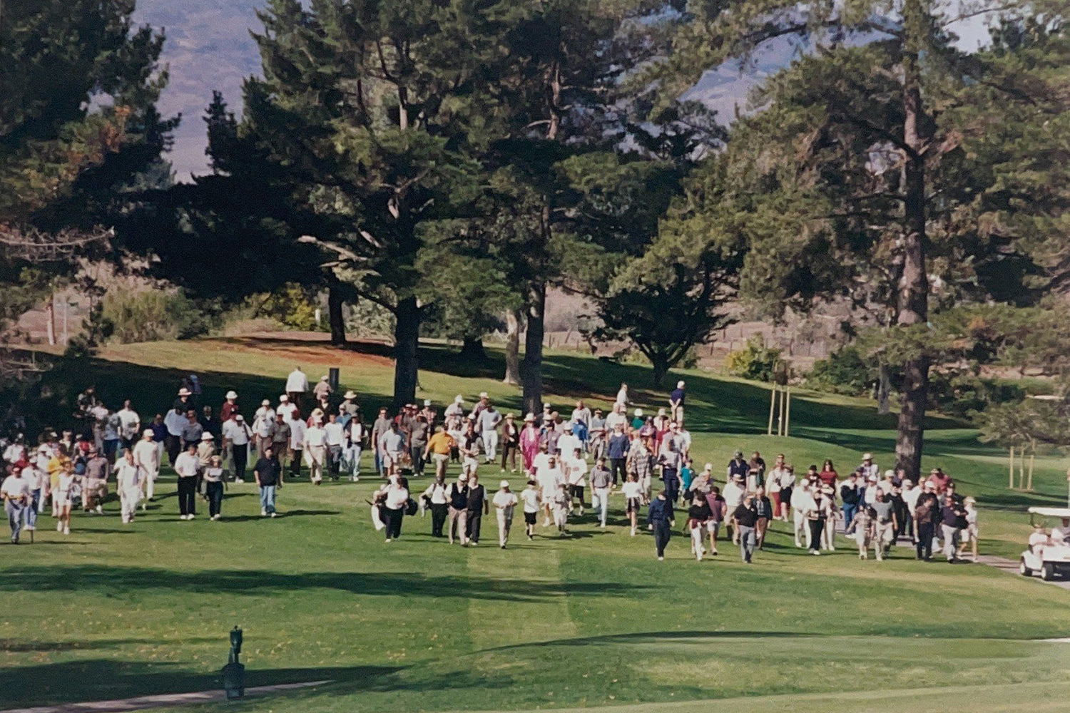 The Beginning    |    History of Straight Down