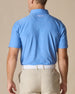 Dodge Polo in Provence Blue, model wearing back view