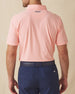 Dodge Polo in Spritz Orange, model wearing back view