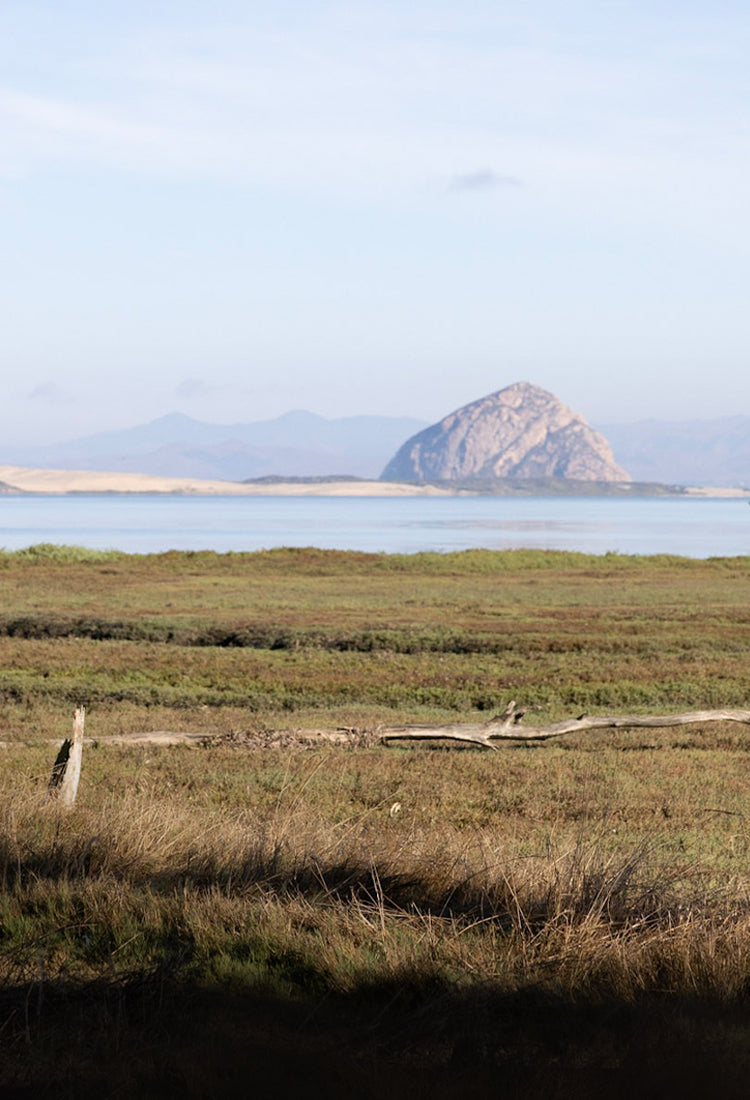 Clean Renewable Energy