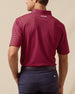 Del Mar Stripe Polo in New Indigo / Flag Red, back model view