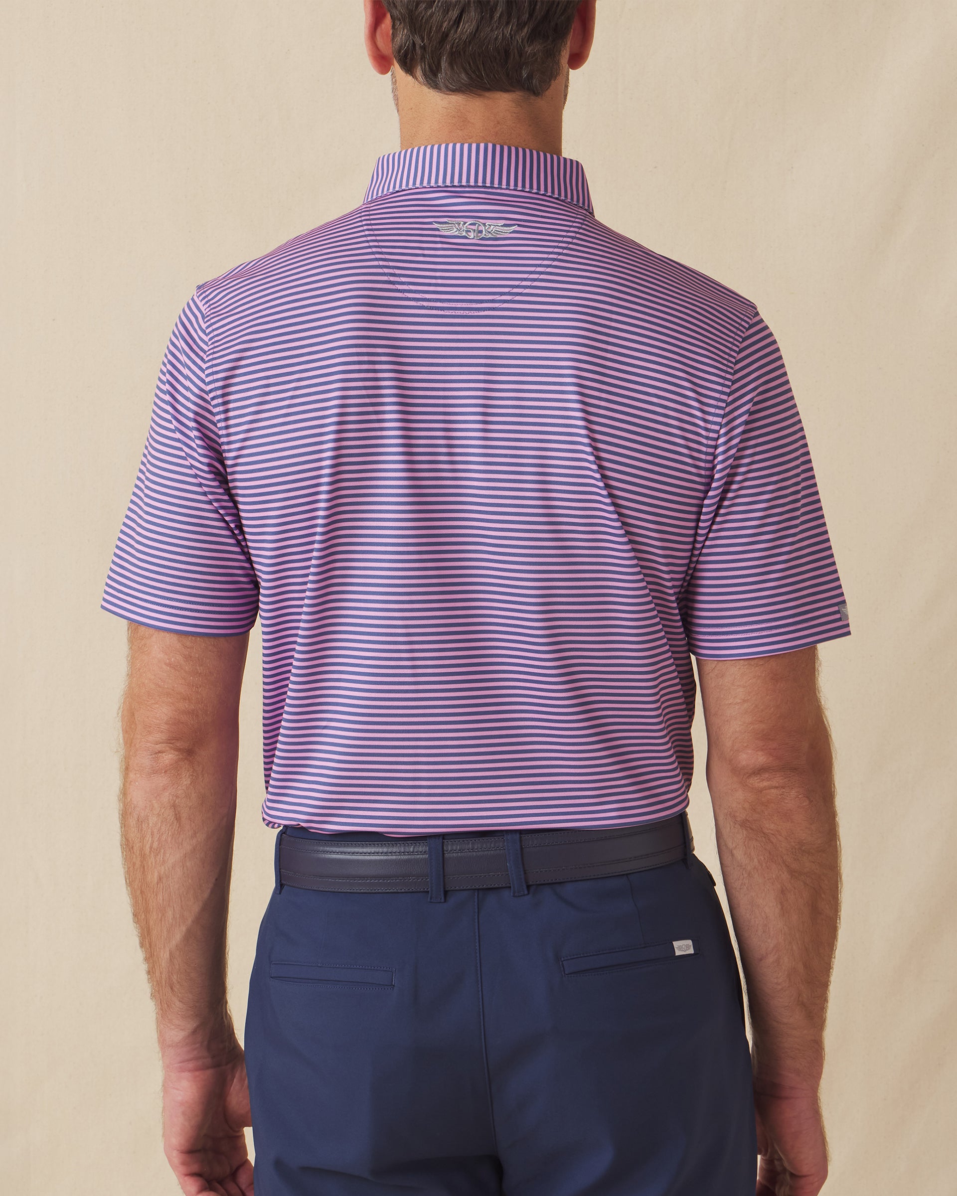 Del Mar Stripe Polo in Pink Floyd/Moonlight, men's back model view