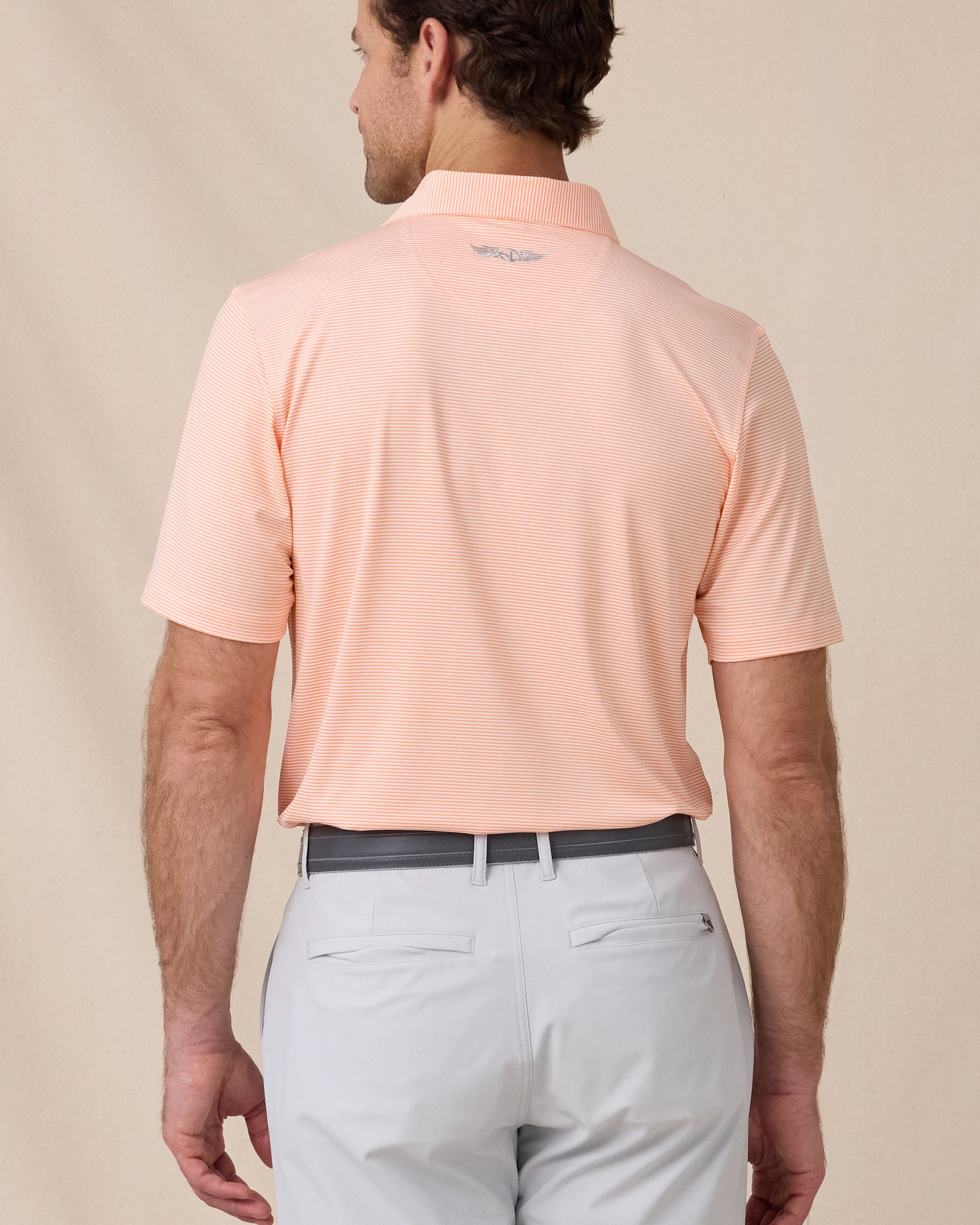 Peninsula Stripe Polo in Cantalope, back model view