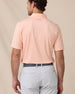 Peninsula Stripe Polo in Cantalope, back model view