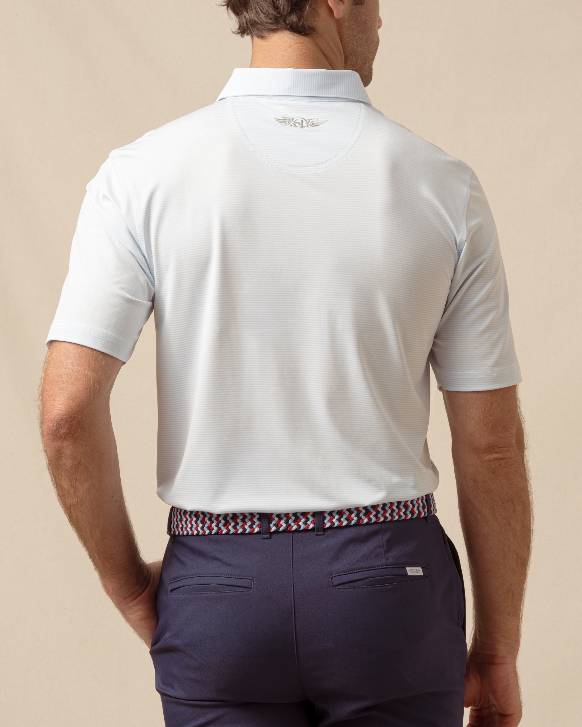 Peninsula Stripe Polo in Nantucket Blue, back model view