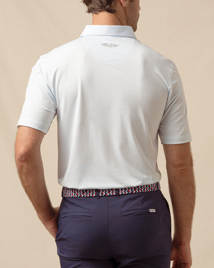Peninsula Stripe Polo in Nantucket Blue, back model view