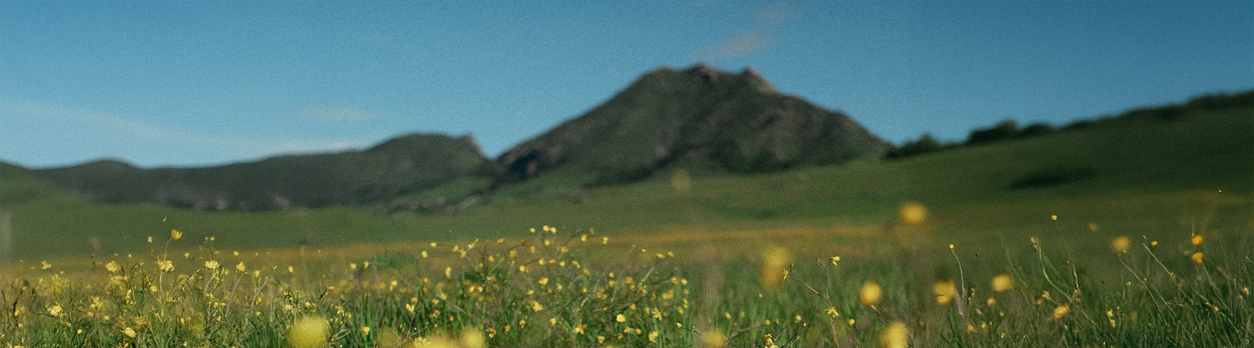 April Fools Day Flash Sale
