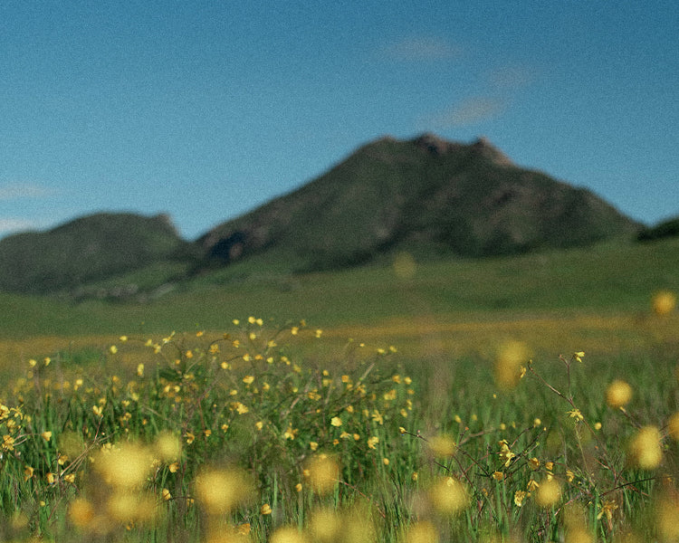 April Fools Day Flash Sale
